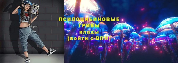 соль ск Мегион