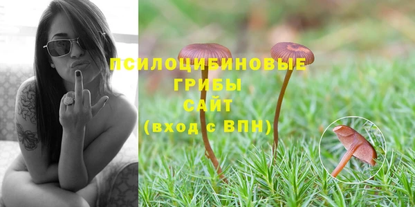 соль ск Мегион