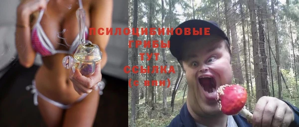 не бодяженный Медвежьегорск