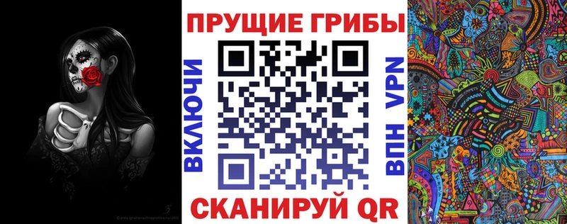 площадка формула  Прокопьевск  Галлюциногенные грибы прущие грибы  hydra tor 